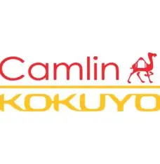 Camlin Paints